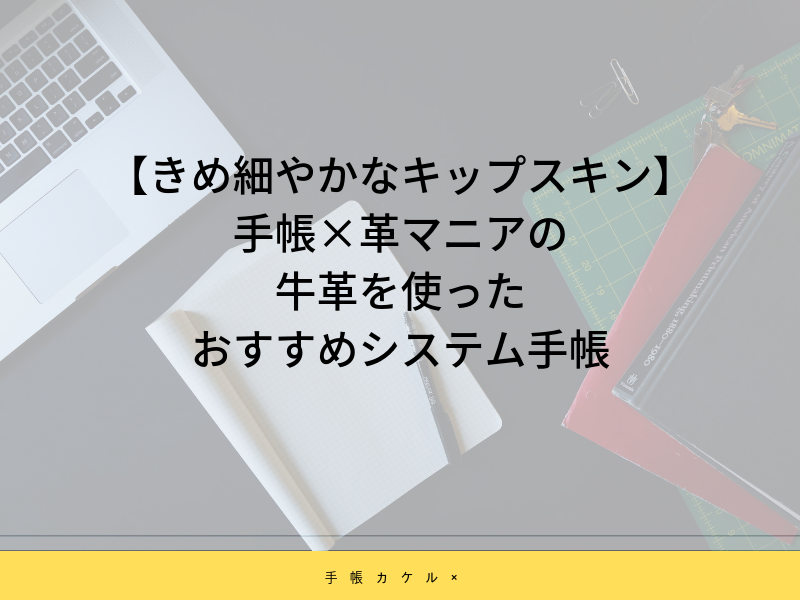 【きめ細やかなキップスキン】手帳×革マニアの牛革を使ったおすすめシステム手帳