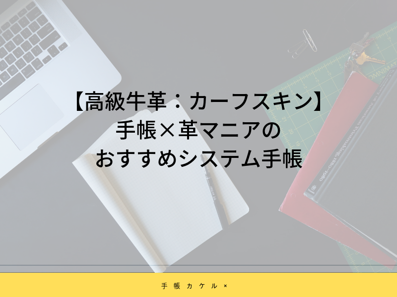 【高級牛革：カーフスキン】手帳×革マニアのおすすめシステム手帳