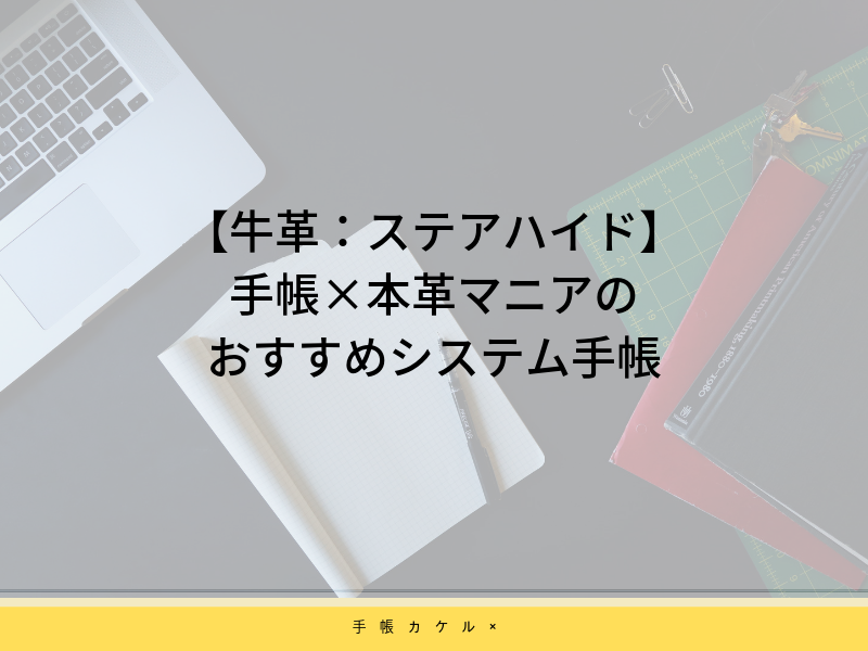 【牛革：ステアハイド】手帳×本革マニアのおすすめシステム手帳