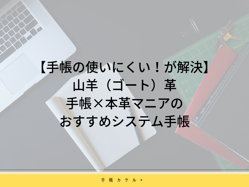 【手帳の使いにくい！が解決：山羊（ゴート）革】手帳×本革マニアのおすすめシステム手帳